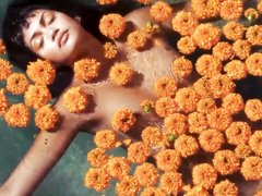 Anita Pathammavong - любовь с яркими цветами